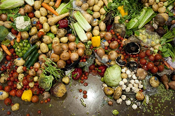 food-waste-recycling