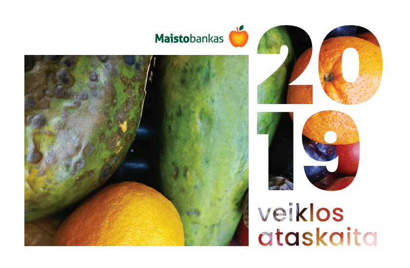 ataskaita WEB cover